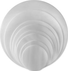 DISCO BCO 25CM 400UN