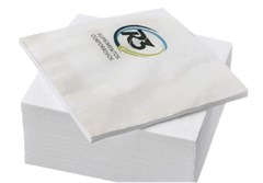 GUARDANAPO PERS 3000FL R3 SUPRIMENTOS