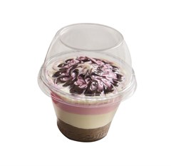 POTE G677 250 ML SILVIA GOURMET 50 UND
