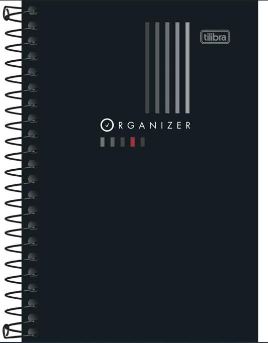 CADERNO ORGANIZER ESPECIAL 80FLS