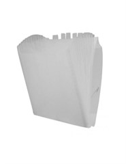 PASTA SANFONADA PLÁSTICA A4 12 DIV