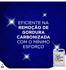 DESINCRUSTANTE 5 LITROS CIF