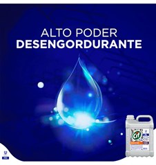 DESINCRUSTANTE 5 LITROS CIF