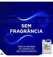DESINCRUSTANTE 5 LITROS CIF