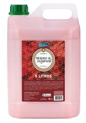 SABONETE LIQUIDO 5 LITROS MORANGO COM CHAMPAGNHE