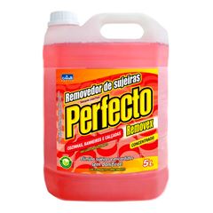 LIMPA PISO 5 LITROS PERFECTO