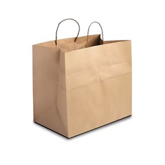 SACOLA KRAFT LISA PP 21X15X8 25UN