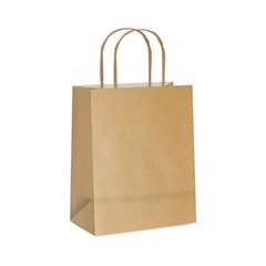 SACOLA KRAFT LISA P 26X21X9 25UN