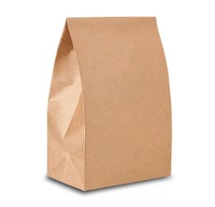 SACO DELIVERY KRAFT LISO 32X22X12 50UN